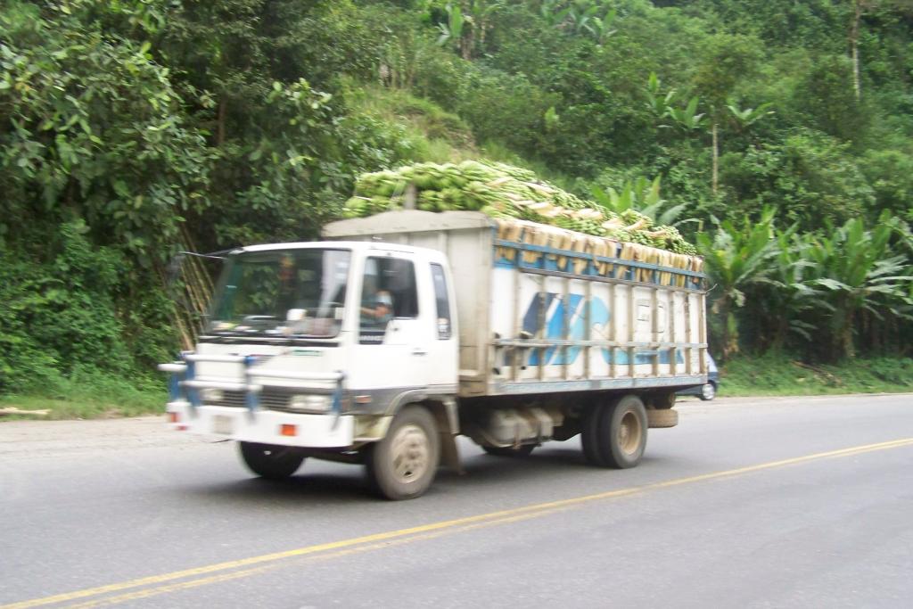 Foto de Santo Domingo de los Sachilas, Ecuador