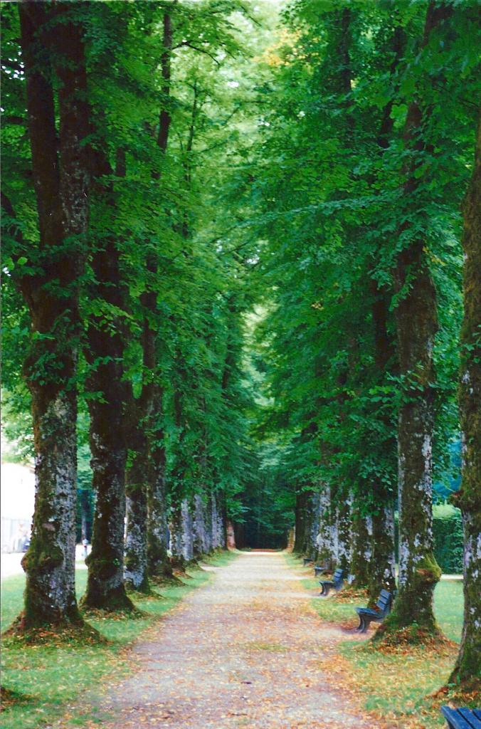 Foto de Herrenchiemsee, Alemania