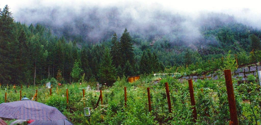 Foto de Krimml, Austria