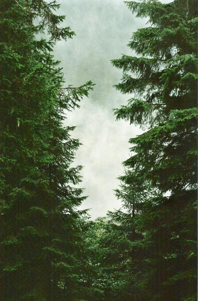 Foto de Krimml, Austria