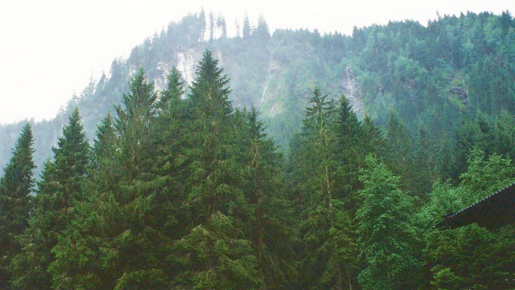 Foto de Krimml, Austria