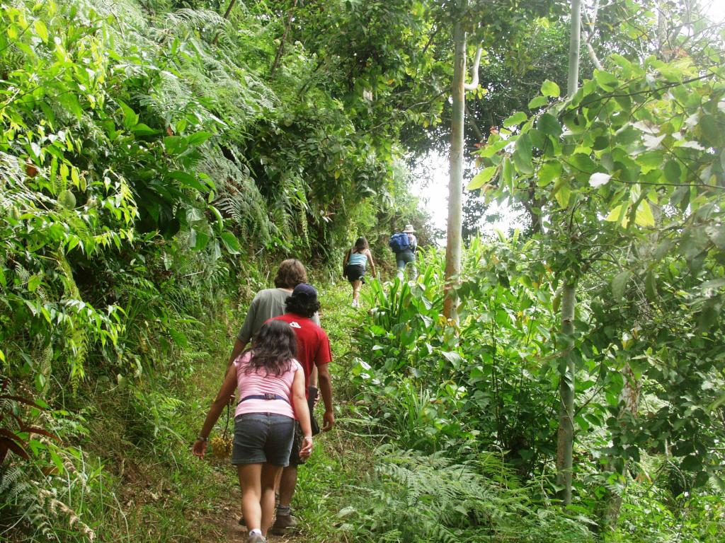 Foto de Chanchamayo, Perú