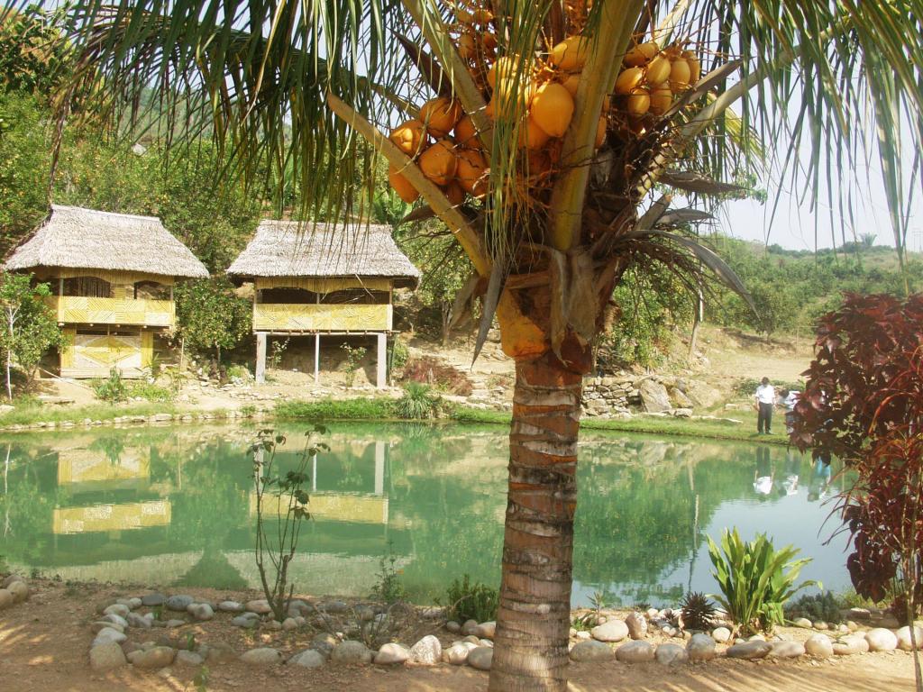 Foto de Chanchamayo, Perú
