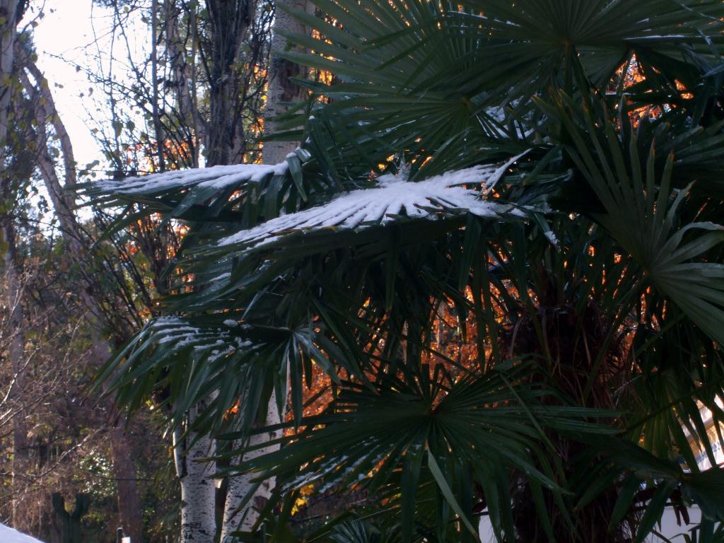 Foto de Albacete (Castilla La Mancha), España