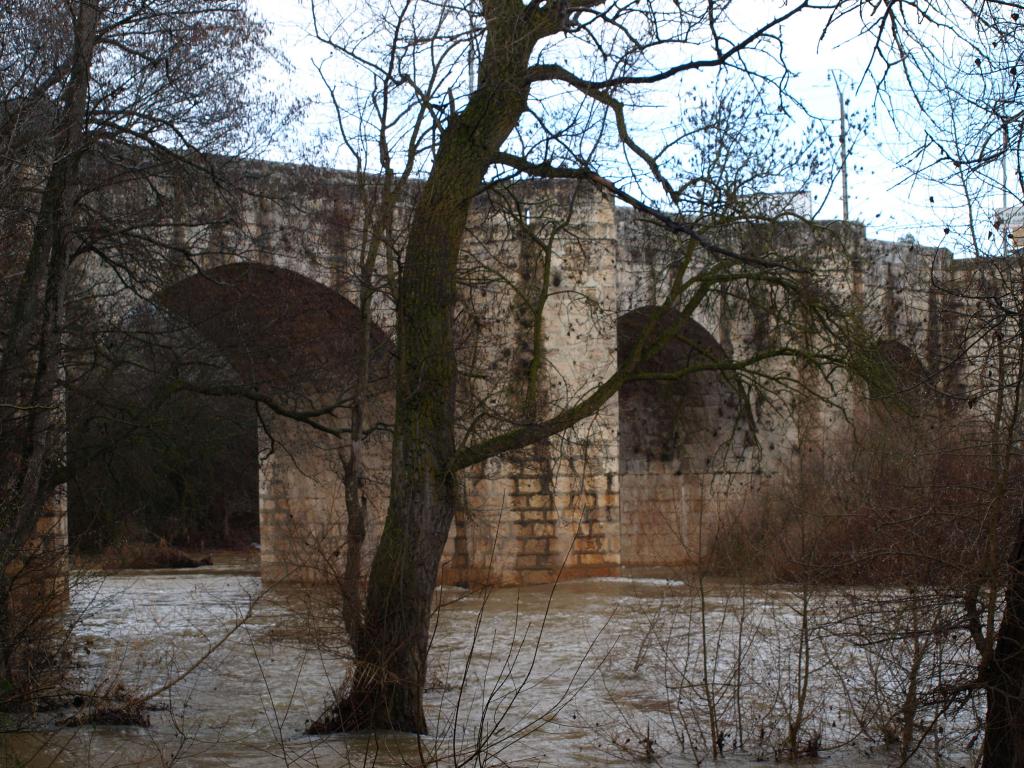 Foto de Quintanilla de Onesimo (Valladolid), España