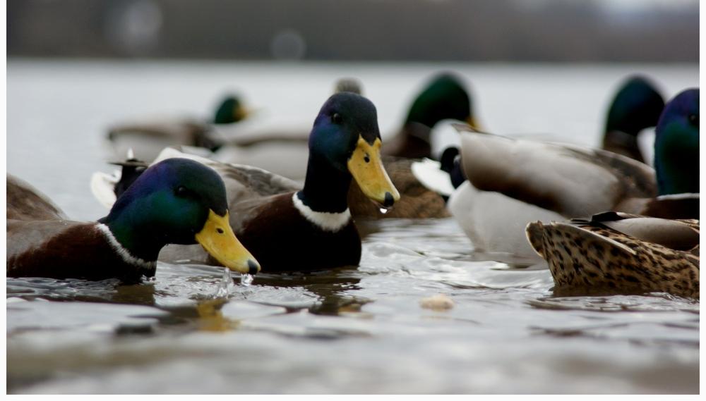 Foto de Barcelona (Cataluña), España
