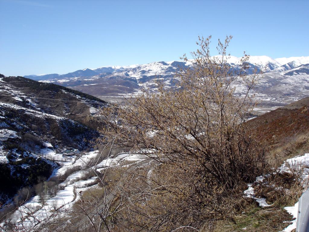 Foto de Collada de Toses (Girona), España