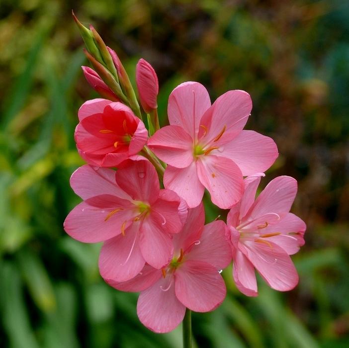 Foto de Barcelona (Cataluña), España