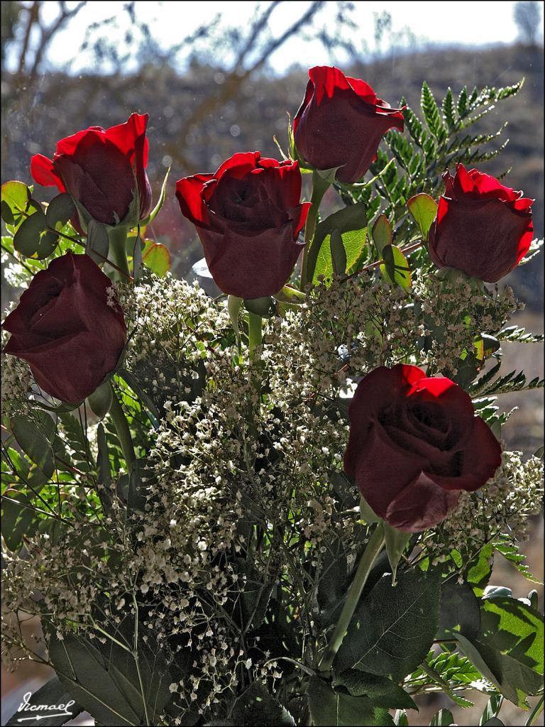 Foto de Malanquilla (Zaragoza), España