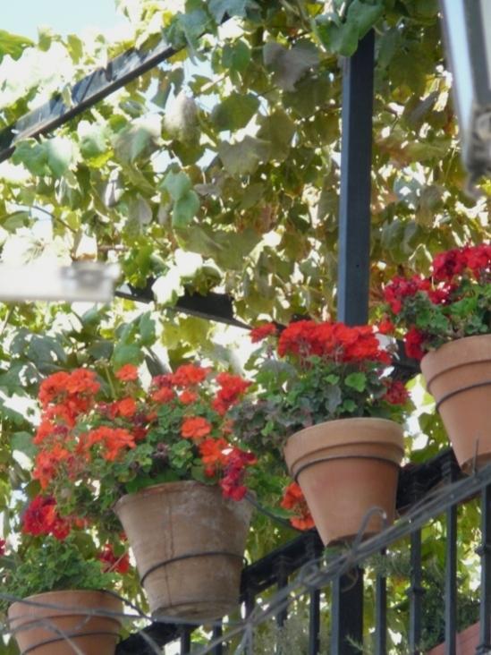 Foto de Granada (Andalucía), España