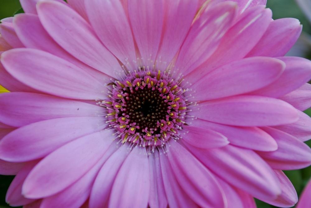 Foto de Barcelona (Cataluña), España