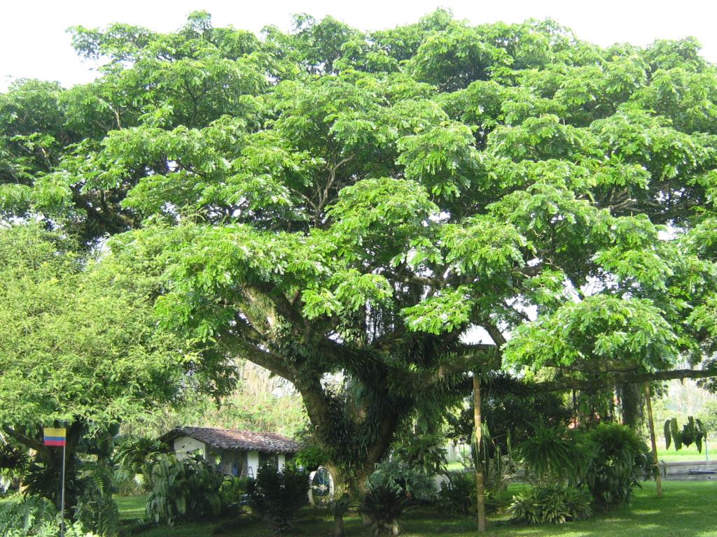 Foto de Guadalajara de Buga, Colombia