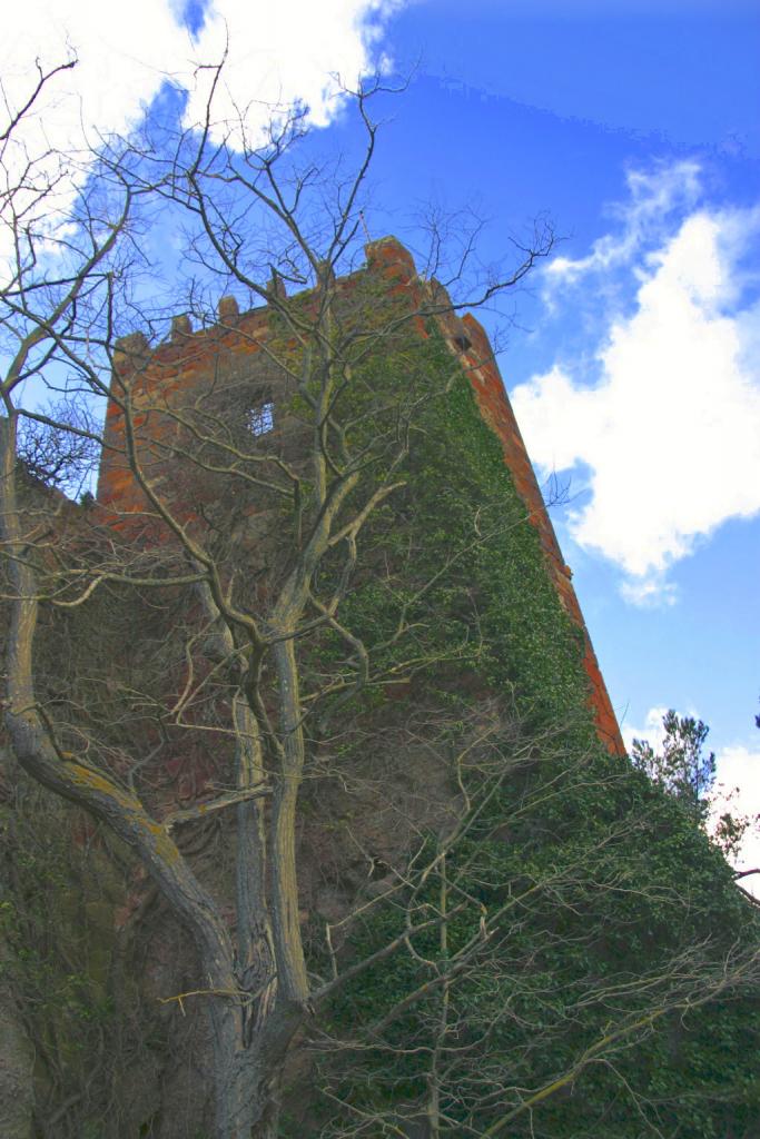 Foto de Riudecanyes (Tarragona), España