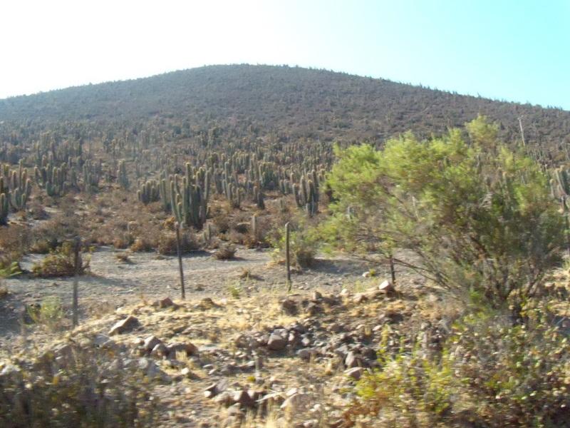 Foto de Petorca, Chile