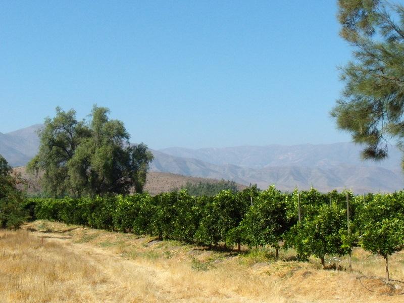 Foto de Petorca, Chile