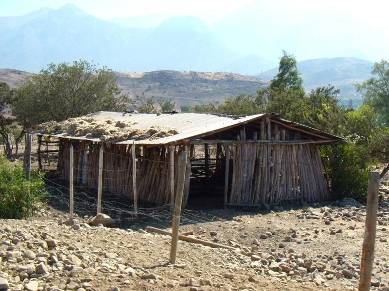 Foto de Petorca, Chile