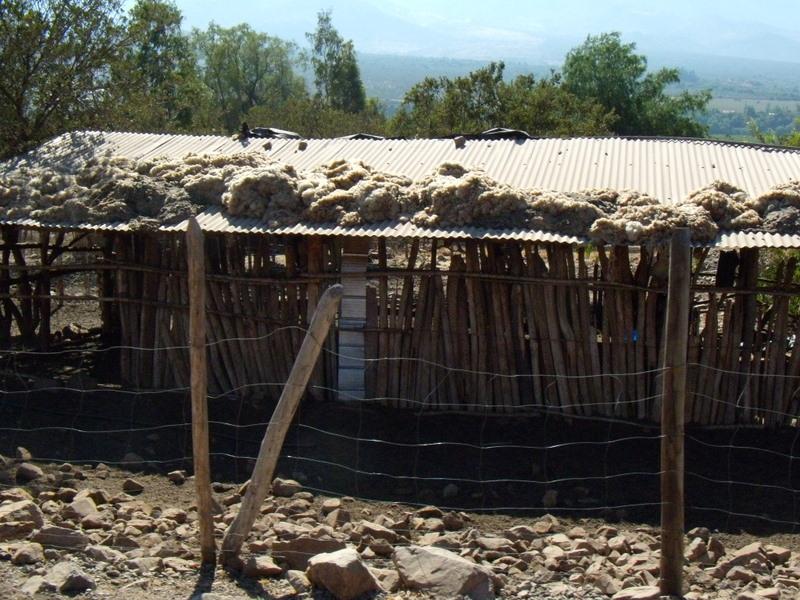 Foto de Petorca, Chile