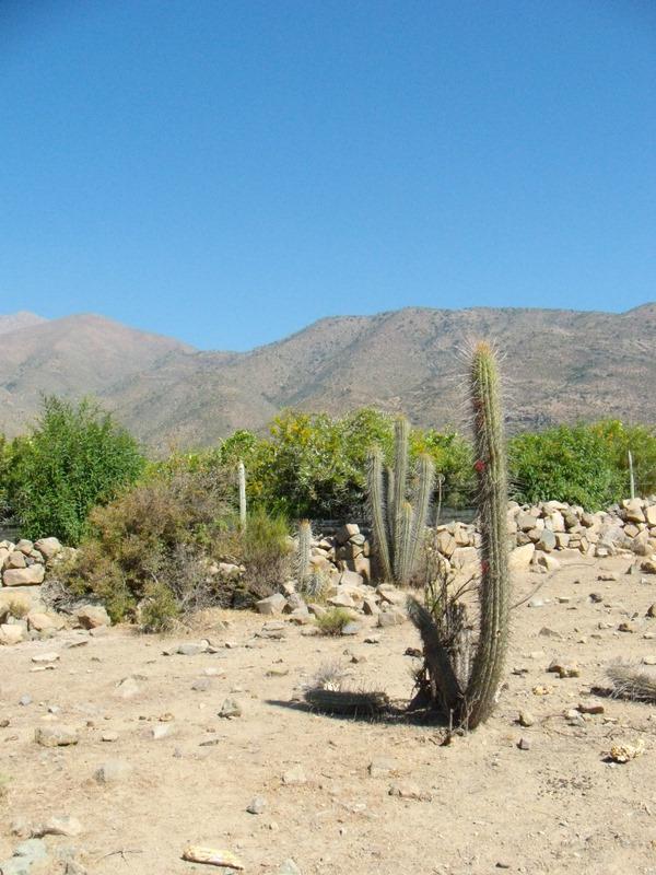 Foto de Petorca, Chile