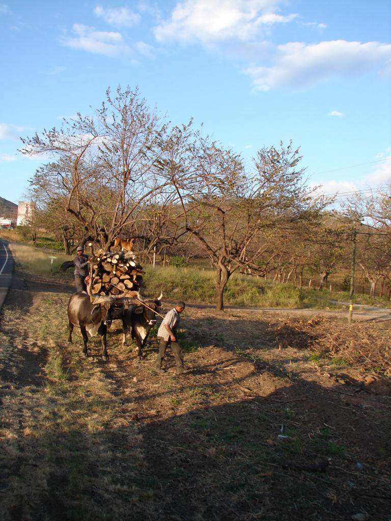 Foto de Cañas (Guanacaste), Costa Rica