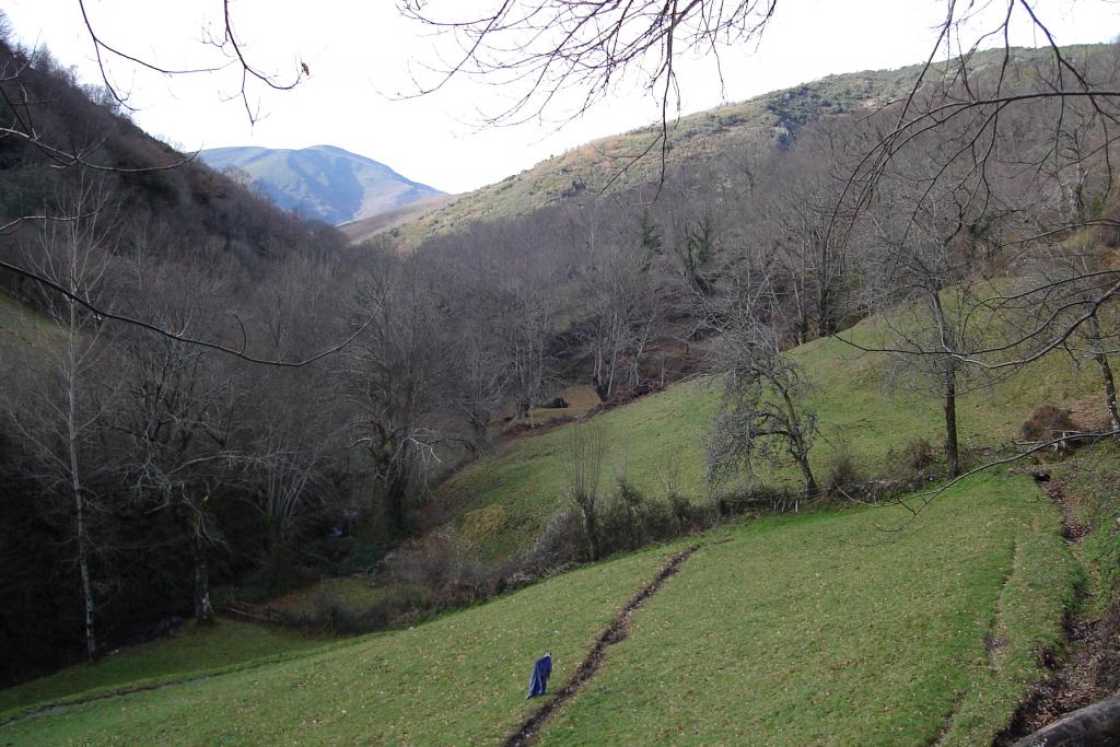 Foto de Moreda (Lugo), España