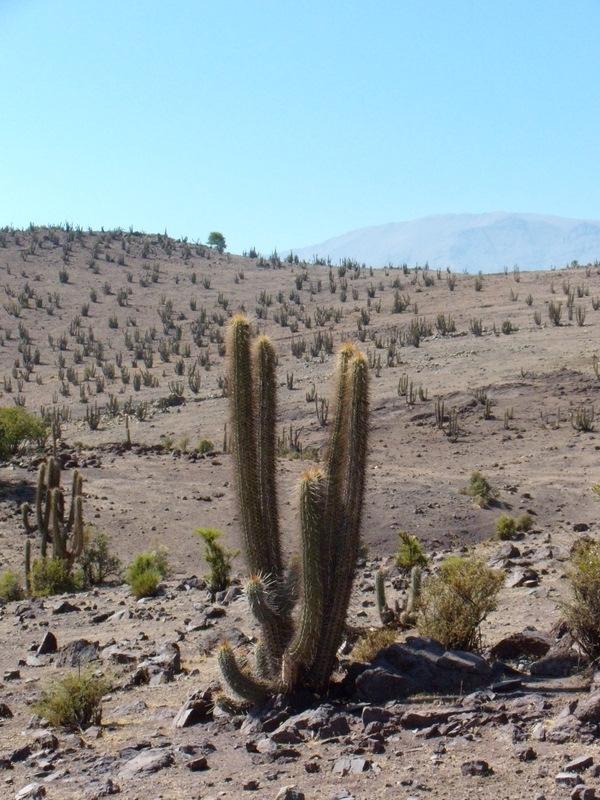 Foto de Petorca, Chile