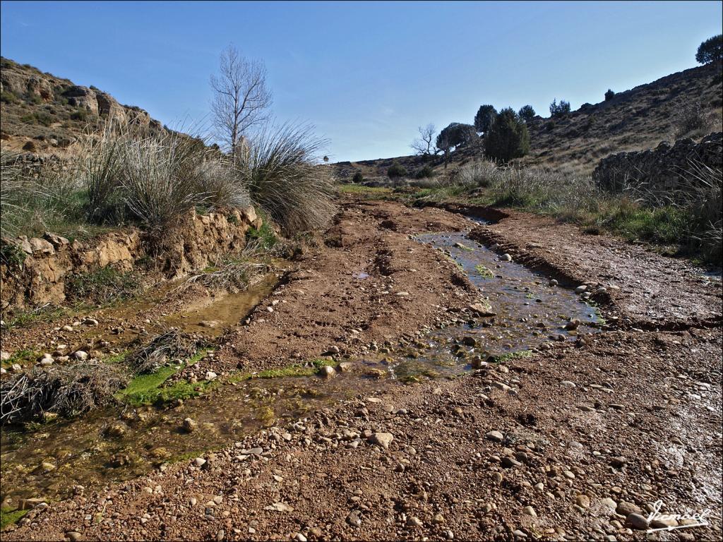 Foto de Alconchel de Ariza (Zaragoza), España