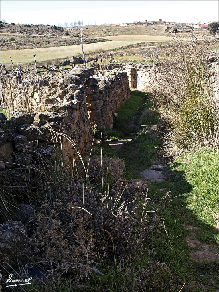 Foto de Alconchel de Ariza (Zaragoza), España