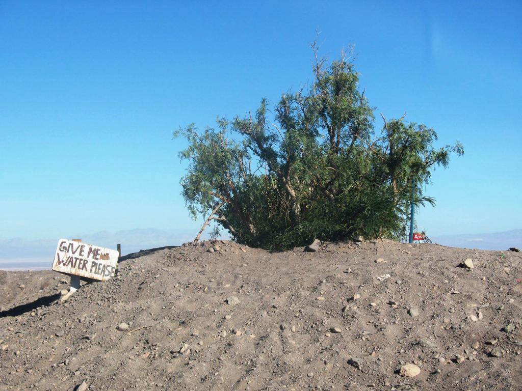 Foto de Desierto de Atacama, Chile