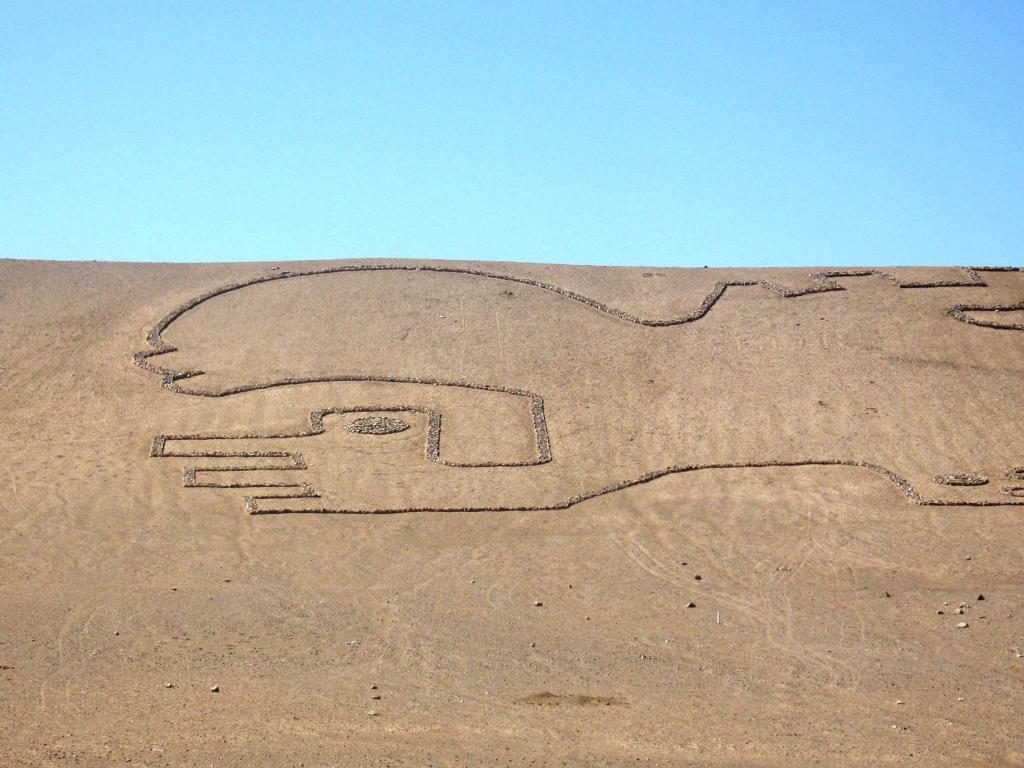Foto de Desierto de Atacama, Chile