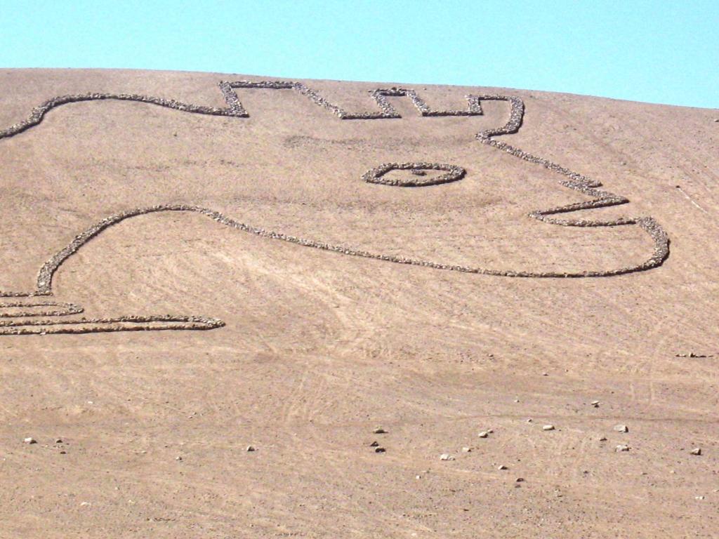 Foto de Desierto de Atacama, Chile