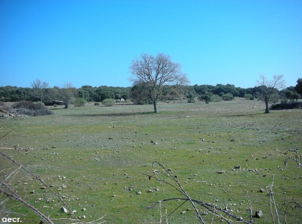 Foto de Valdemorillo (Madrid), España