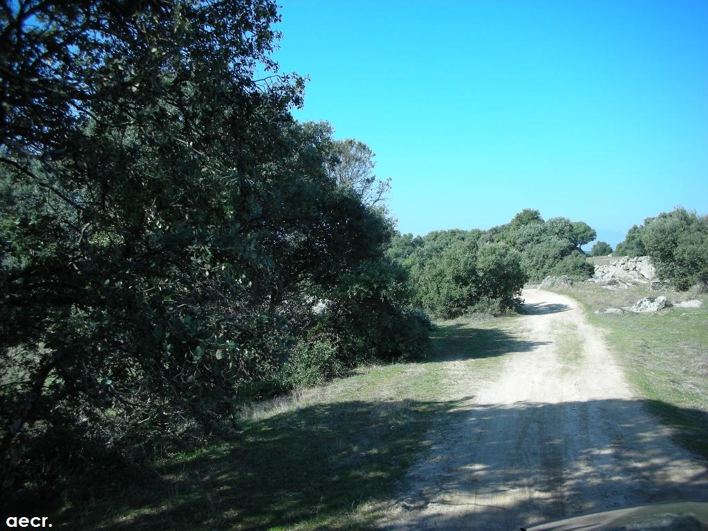 Foto de Valdemorillo (Madrid), España