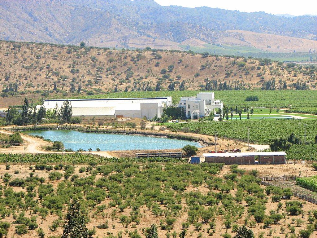 Foto de Casablanca, Chile