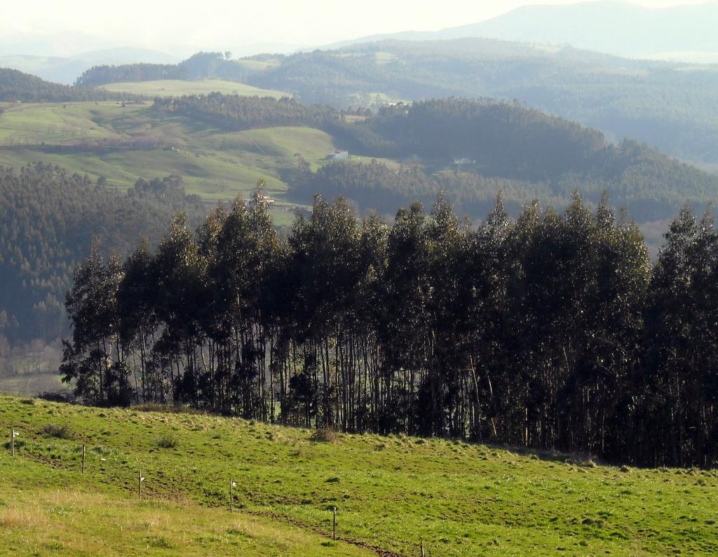 Foto de Camargo (Cantabria), España