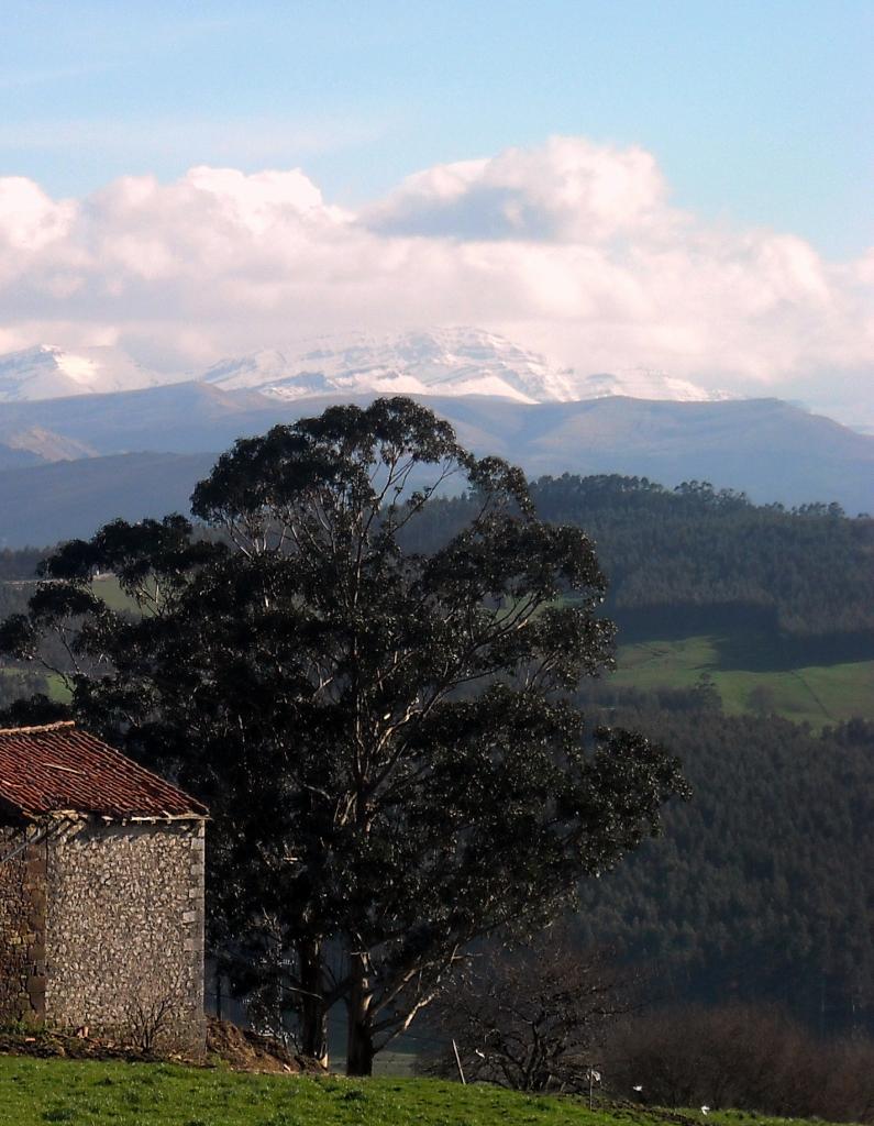 Foto de Camargo (Cantabria), España