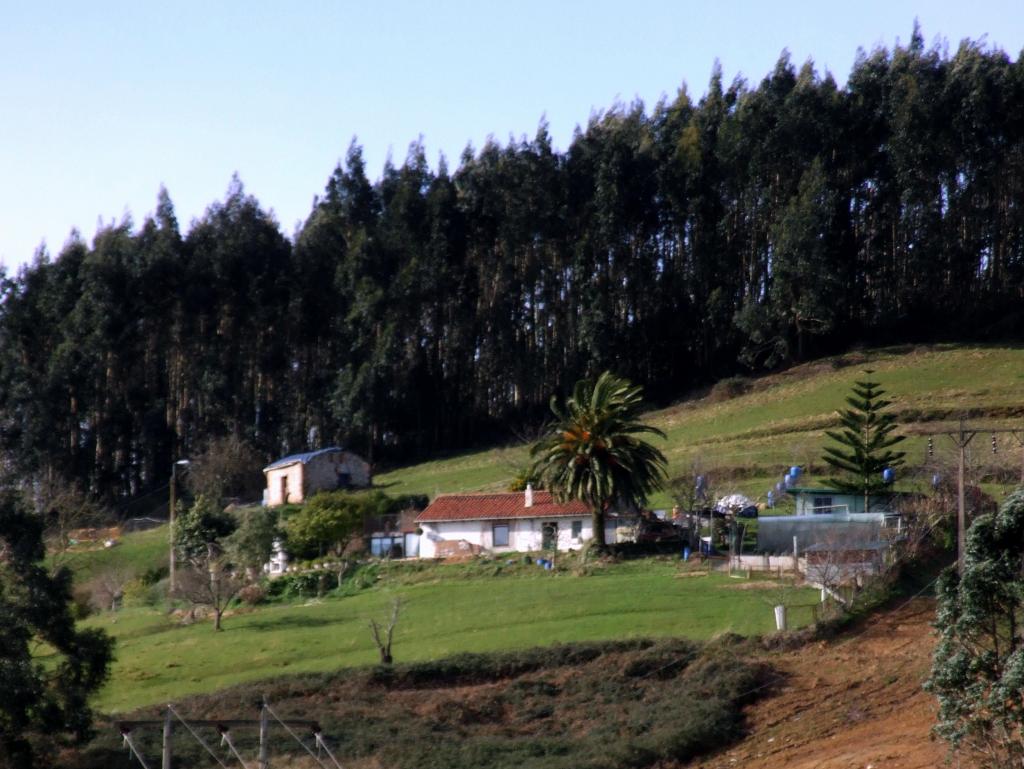 Foto de Camargo (Cantabria), España