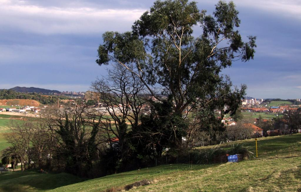 Foto de Camargo (Cantabria), España
