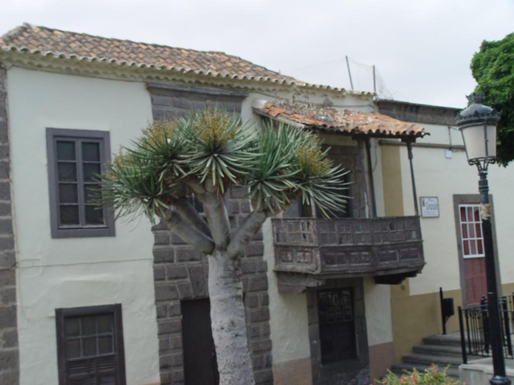 Foto de Santa Maria de Guia de Gran Canaria (Las Palmas), España