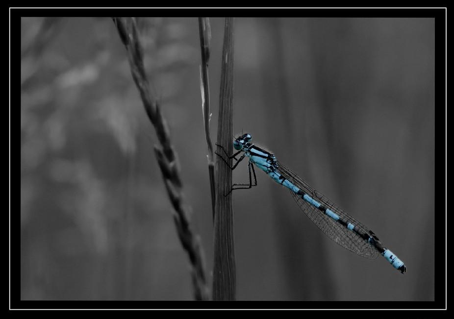 Foto de Barcelona (Cataluña), España