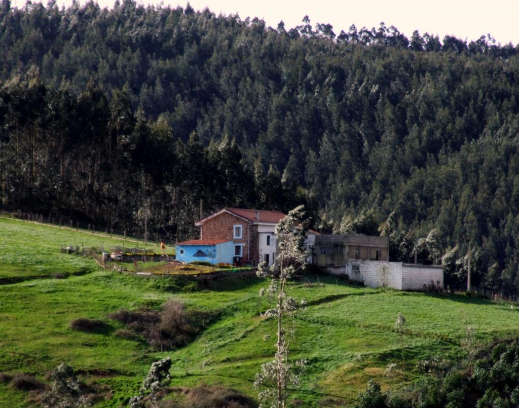Foto de Camargo (Cantabria), España