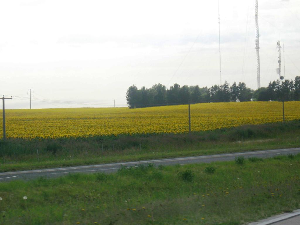 Foto de Mendoza, Argentina