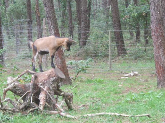 Foto de Ondres, Francia