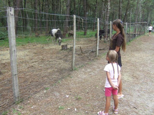Foto de Ondres, Francia