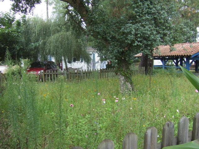 Foto de Ondres, Francia