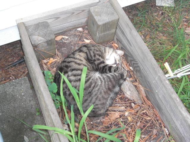 Foto de Ondres, Francia