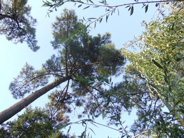 Foto de Ondres, Francia