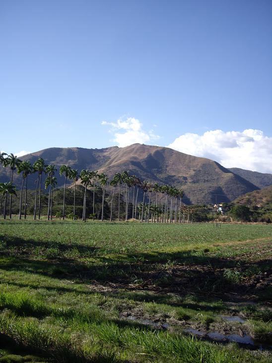 Foto de Aragua, Venezuela