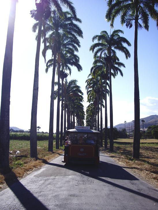 Foto de Aragua, Venezuela