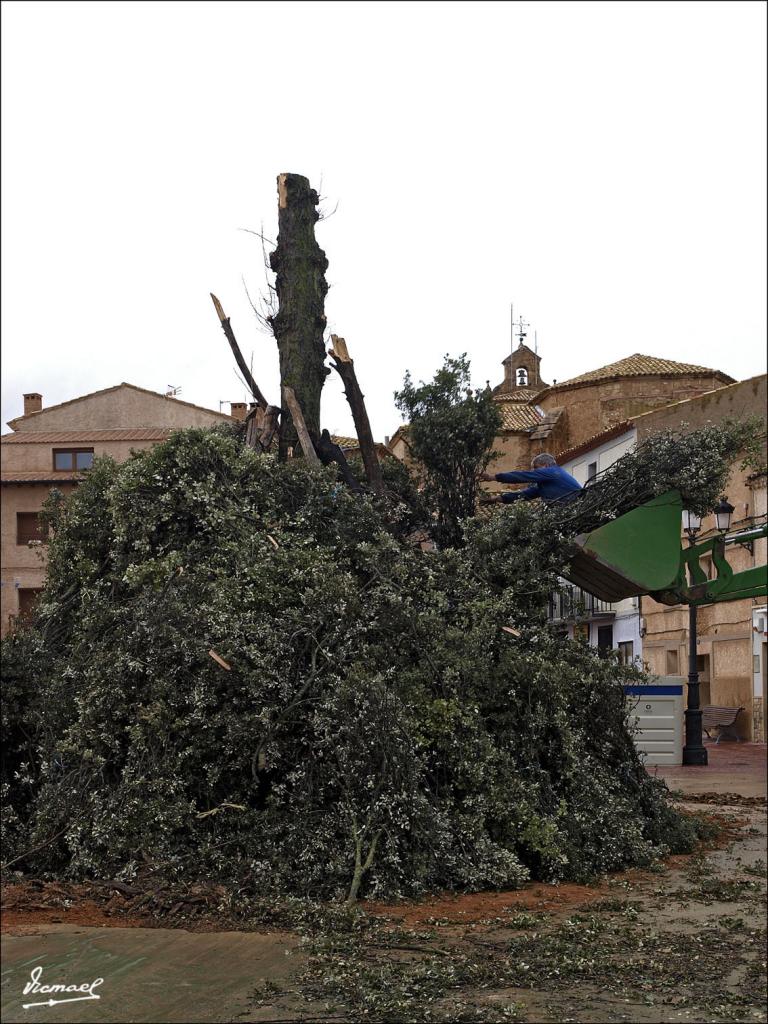 Foto de Alconchel de Ariza (Zaragoza), España