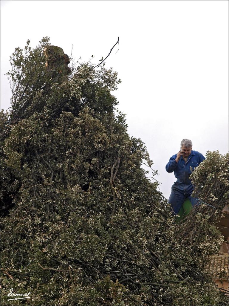 Foto de Alconchel de Ariza (Zaragoza), España